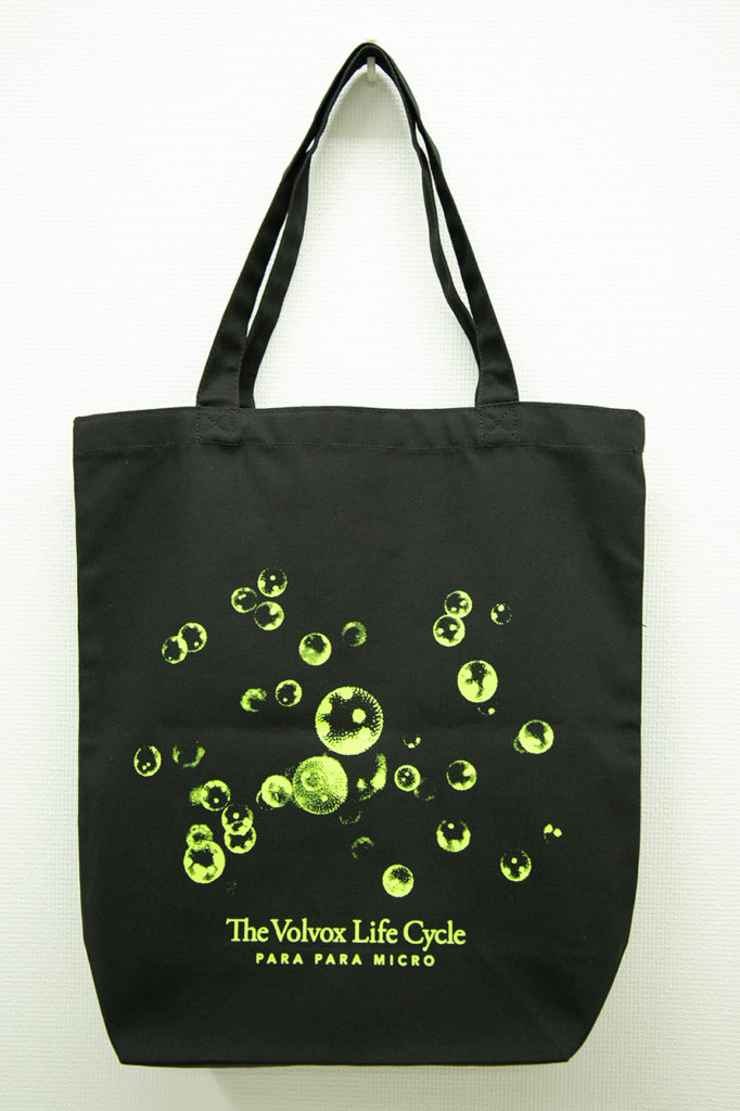 トートバック ボルボックス – 顕微鏡撮影・映像制作｜株式会社